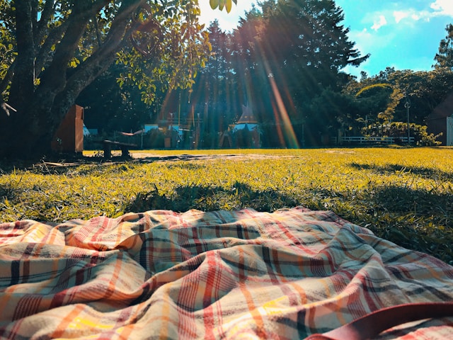 Piknik